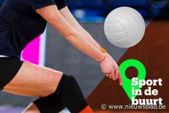 Young Yellow Tiger Lune Hoste van Vilvoorde naar Darta Bevo Roeselare