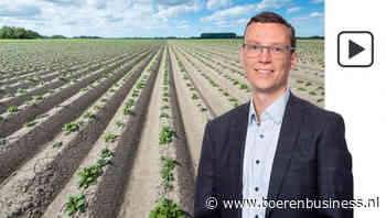 Voorzichtige ommekeer in stemming aardappelmarkt
