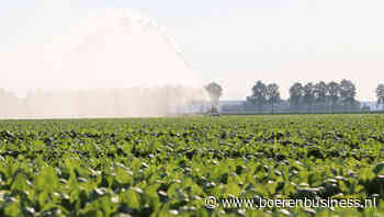 Rampscenario of niet: twijfel over impact droogte