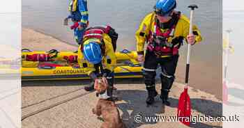 'Frightened' dog rescued from incoming tide off Wirral coast