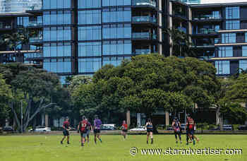 Honolulu Council might widen surveillance at parks