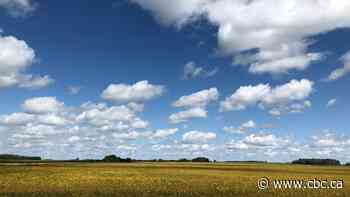 2 MPPs have proposed an Ontario foodbelt. Could it help tariff-proof the ag sector?