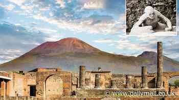 The Buried City by Gabriel Zuchtriegel: Dead city that is still erupting with secrets