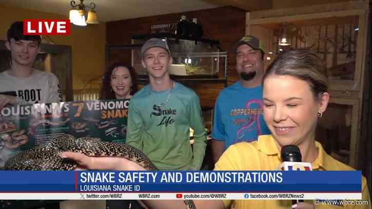 Warmer weather means snakes are coming out! Don't worry - they're not all bad