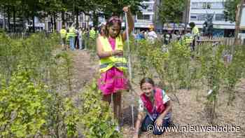 Minibos groeit en krijgt de naam ‘t Stadsbosje mee