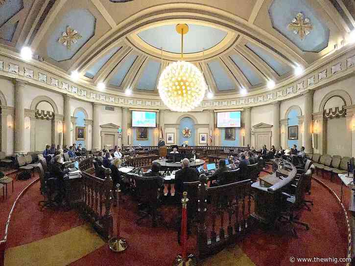 Kingston city council to look at food policy