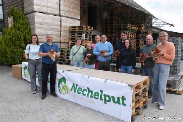 Succesvolle kippenactie helpt mee Pepingense afvalberg verkleinen
