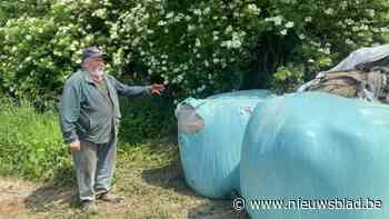 Dieven stelen wentelploeg en drinkbak bij landbouwer in Wellen