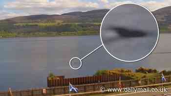 Has Nessie had a BABY? Hunter is stunned as a 'juvenile' creature with a long neck is spotted in Loch Ness