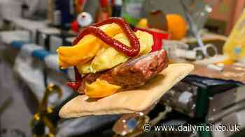 NASA astronaut on board the ISS shares his take on a popular fast-food item - so, can YOU tell what it's meant to be?