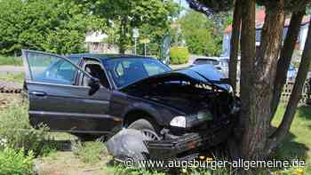 Auto kracht gegen Baum im Vorgarten: Spektakulärer Unfall endet glimpflich