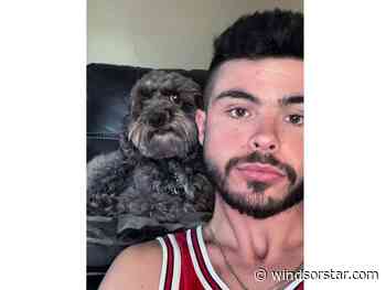 Windsor man blasted for 'wildly dangerous' chase with police from Grand Bend