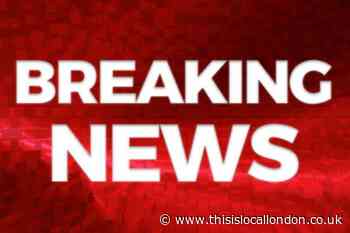 Police name victim of Kingsbury stabbing as man from Harrow