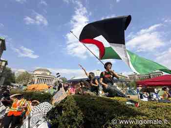 "L'America è in pericolo": cosa c'è dietro il piano del centro studi per eliminare il movimento pro-Pal negli Usa