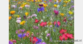 Mini-symposium bio-onderzoek 2025