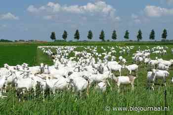 Excursie naar bio-boerderij ‘op Arkum’