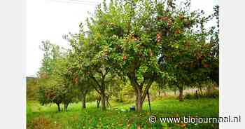 Seminar-training over biologische productie gehouden in Ferganavallei