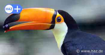 Polizei entdeckt bei Kontrolle auf A2 geschützte Tiere in Garbsen