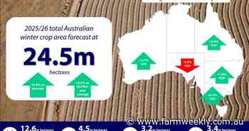 Record winter crop planting on the cards in spite of ongoing southern dry