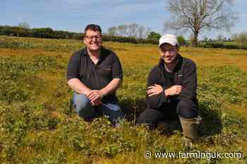Healthy soil, fewer weeds: Farmers swap sprays for smarter nutrient fixes