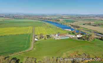 Northumberland farm hits market after four decades in family