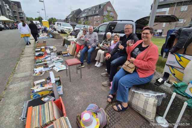 Rommelmarkt in wijk Lelie is groot succes