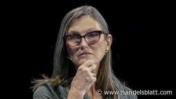 USA: „Kann Märkte öffnen“ – So bewertet Investorin Cathie Wood Trumps Zollpolitik