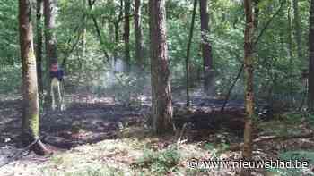 Brandweer blust kleine bosbrand aan karting in Genk: “Konden brandhaard eerst niet vinden”