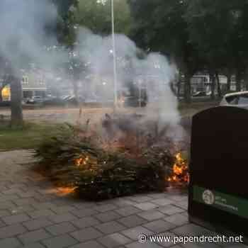 Jongeren steken plantsoen in brand aan Jacob van Ruysdaelstraat