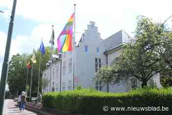 Dief aan de haal met regenboogvlag aan gemeentehuis: “We zijn teleurgesteld”