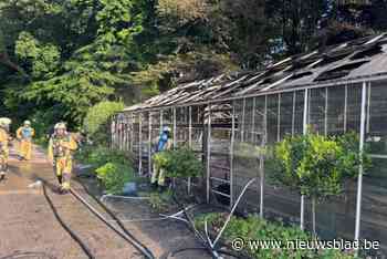 Gemeentelijke serres in Josaphatpark uitgebrand
