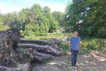 Vijver ligt al drie jaar droog, maar slib kan pas ten vroegste vanaf augustus weggehaald worden: “Spijtig dat dit zo lang moet duren”