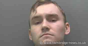 Cambridgeshire man kills fiancée's hamster during 'despicable' attack