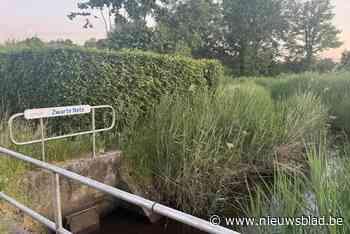 63-jarige man overleden nadat hij met maaitractor in Zwarte Nete belandt