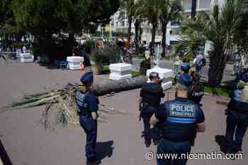 On en sait plus sur l’état de santé de l’homme blessé par la chute d’un palmier sur la Croisette à Cannes, ce samedi
