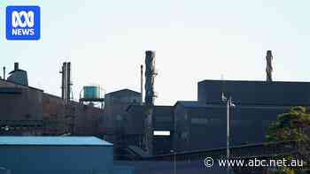 Locals fear for jobs after Liberty Bell Bay limits operations