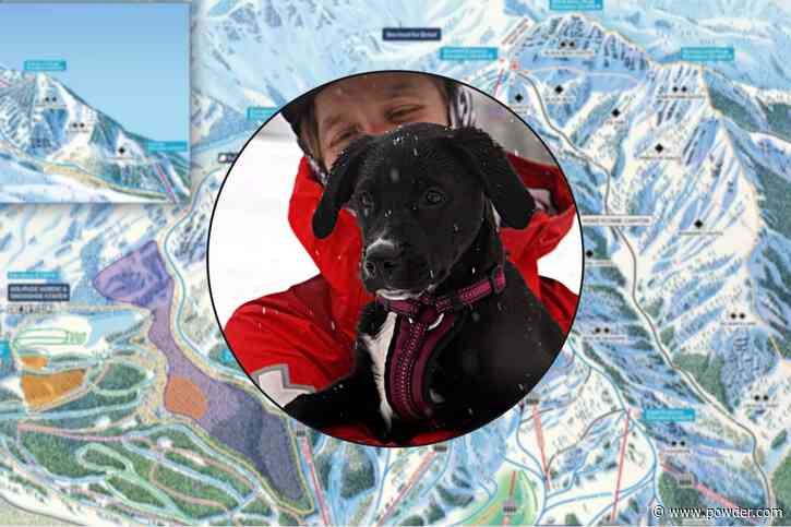 Meet Dezi, Utah's Newest Avalanche Rescue Dog in Training