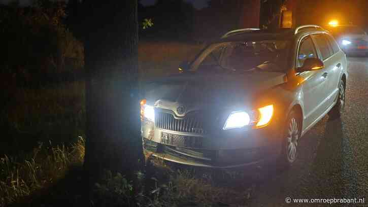 Automobilist botst tegen boom nadat hij uitwijkt voor een overstekende ree