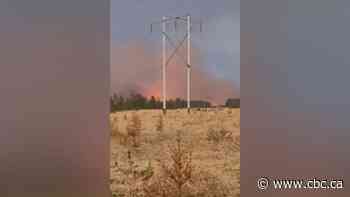 RM of Piney residents to return home after wildfire evacuation order lifted