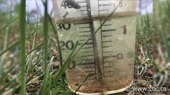 Farmers and meteorologists say record rainfall in southeast Sask. could help growing season