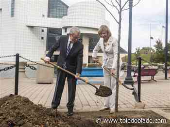 Effort to plant 250M trees across Great Lakes region by 2033 began with 27M in 2024