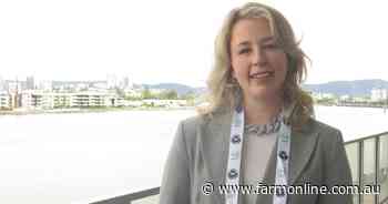 What Australia's sheep industry needs to forge its future post-election