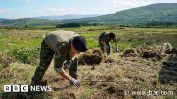 Searches continue at farm where human remains were found