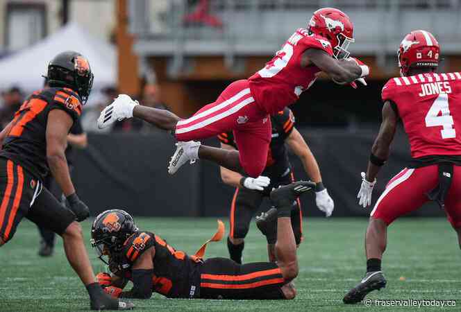 Stampeders open pre-season schedule with 26-16 win over Lions