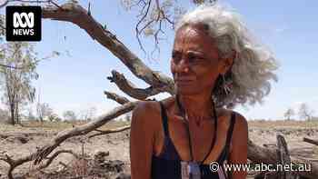 Tribunal rules NSW government can lease culturally significant land to Santos