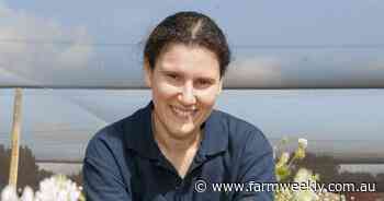 Sap sucking mite delivers a damaging bite to newly emerging crops across WA