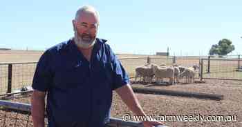 Perenjori sheep farmer helping to wage the national war against wild dogs