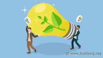 Mediaplanung: Nachhaltigkeit rückt in den Hintergrund