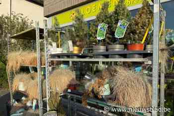 Bloemenhal is één jaar na overname opnieuw failliet: ook Loots filiaal ligt er verdord bij