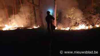 Brandweer blust brand op militair domein in Leopoldsburg: geurhinder mogelijk in omgeving